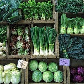 Rustic Patch: Handpicked Season's Best Mix